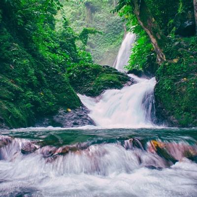 洋河股份:董秘回应市值相关问题,称聚焦业务促价值回归